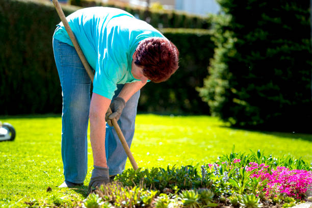 istock Senior woman working in the garden 671451680