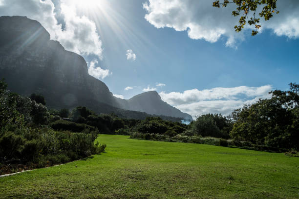 istock Cape town botanic garden 671454742