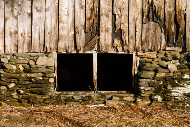 Old weathered barn on a farmland.