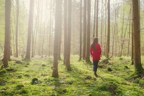 istock Women with red coat in the forest 671465704