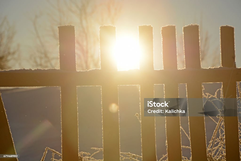 Sun, old wooden fence, winter forest in Russian backwoods Beauty Stock Photo