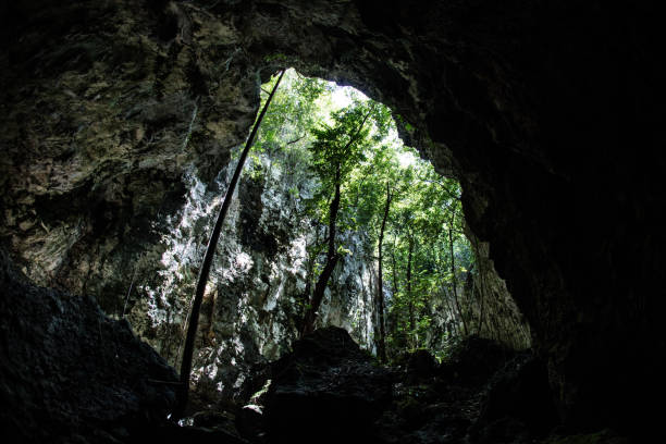 istock Cave and Jungle in Palau 671473104