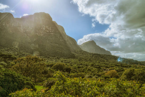istock Cape town botanical Garden 671473138