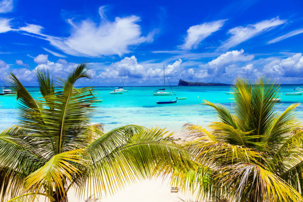 Tropical scenery - Cap Malhereux in Mauritius island stock photo