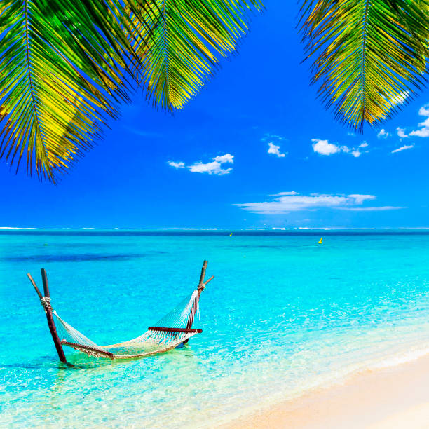 tropical chilling out - hammock in turquoise water. - hammock beach vacations tropical climate imagens e fotografias de stock