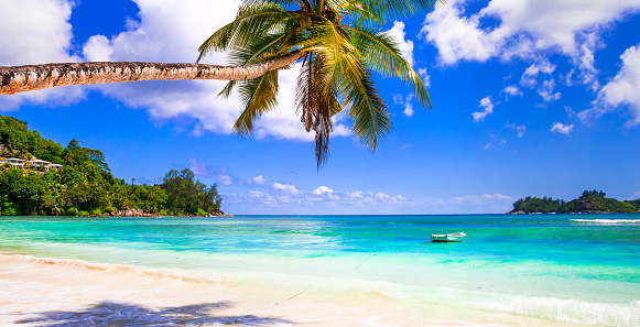 amazing turquoise and white sandy beaches of Mauritius