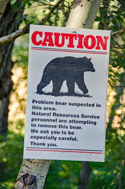 istock Bear warning sign in the Rocy Mountains 671485286