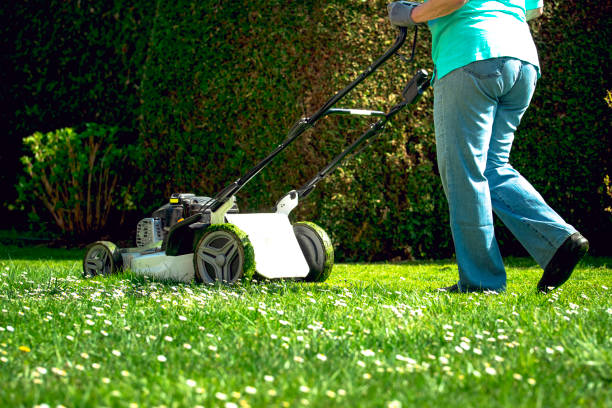 istock Senior woman mowing the lawn 671485358