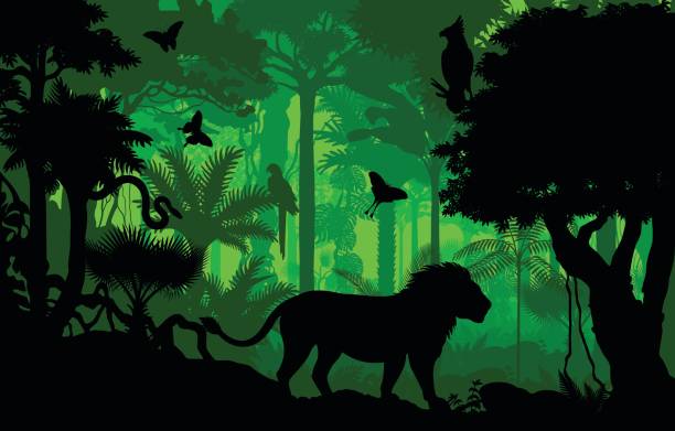 ilustrações, clipart, desenhos animados e ícones de vector noite tropical rainforest fundo de selva com leão, harpia, python e borboletas - snake tropical rainforest animal rainforest