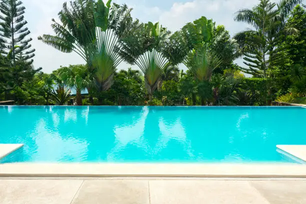 Tropical swimming pool surrounded by trees