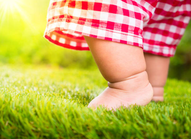 istock Baby standing on green grass with sunlight for leaning to walk, 671503582