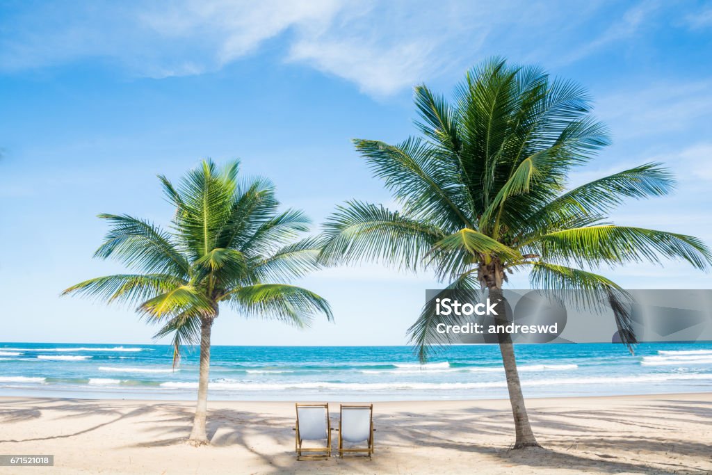 Beach Relax Palm Beach Tropical Relax Palm Beach Stock Photo