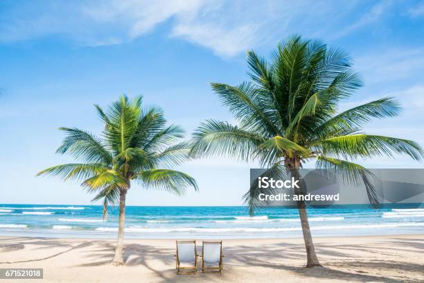 Beach Relax Palm Stock Photo - Download Image Now - Beach, Palm Tree, Beach Holiday