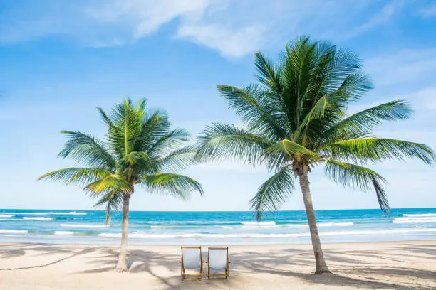 Beach Tropical Relax Palm