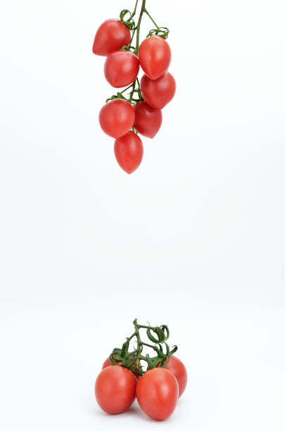 istock Cherry tomatoes on branch isolated on white background 671524800