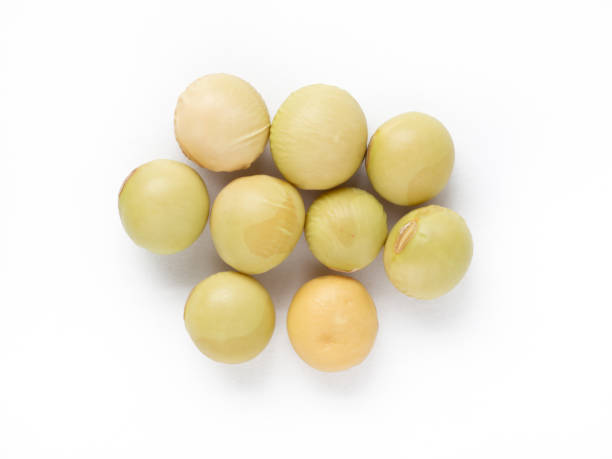 istock Japanese green soy bean seed 671527882
