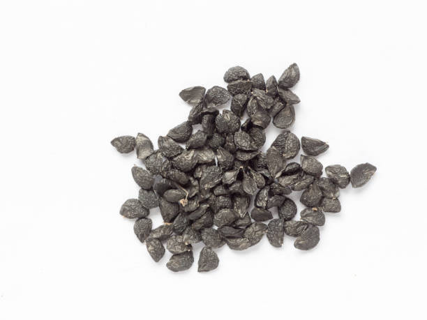 istock Japanese green onion seed 671530518