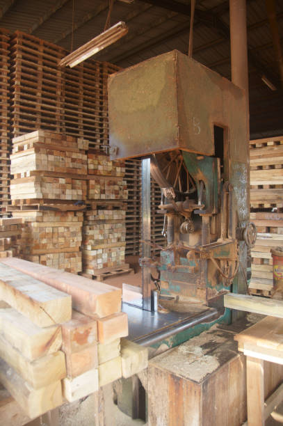 istock Wood saw and pallets 671530536