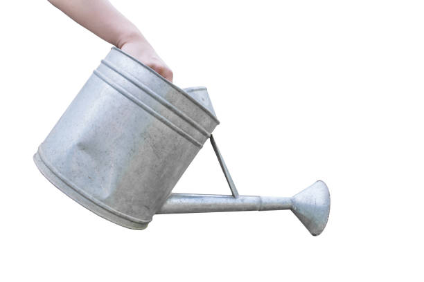 istock Hand holding watering can isolated on white background 671533920
