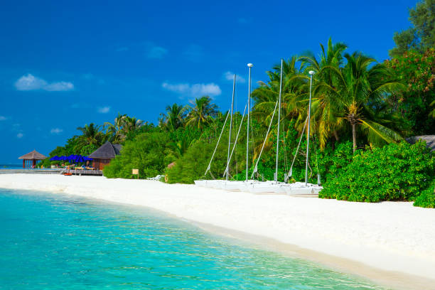 istock sea in Maldives 671542866