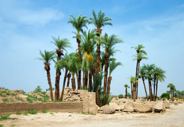 istock Africa, Egypt, Luxor, Karnak temple 671546742
