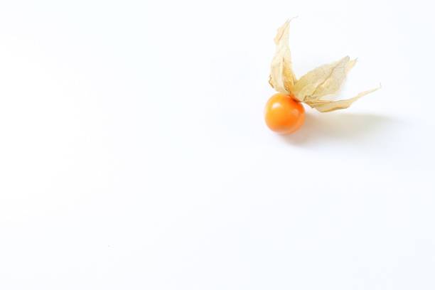 istock Single cape gooseberry on white 671560750