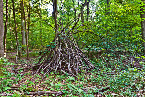 istock tent built by branches in the forest by an nature kindergarden 671563908