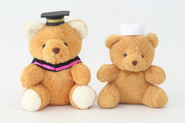 istock Two brown bear dolls wearing a graduation cap and a nurse hat on a white background. 671567736