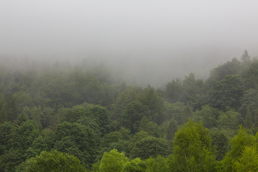 Summertime landscape of Bieszczady Mountain range with mist rain after over deciduous stand, Bieszczady Ridge, Poland, europe