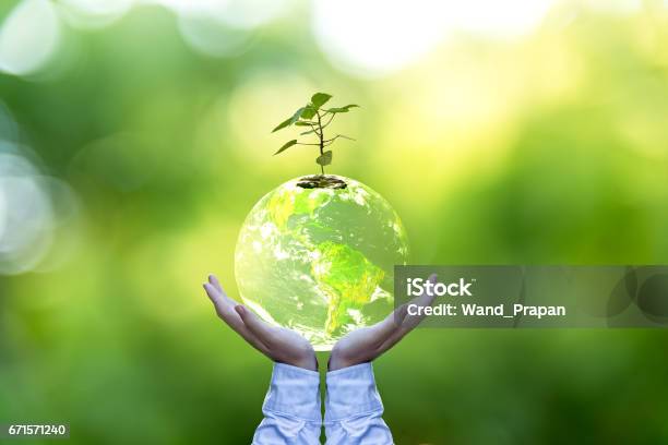 Planet And Tree In Human Hands Over Green Nature Save The Earth Concept Elements Of This Image Furnished By Nasa Stock Photo - Download Image Now