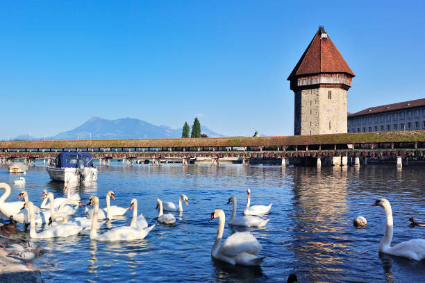 istock Chapel Bridge, Lucerne, Switzerland 671571318