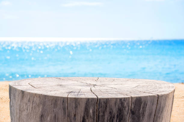 istock Stump table on sandy beach with blue sky and blue sea background. 671575852