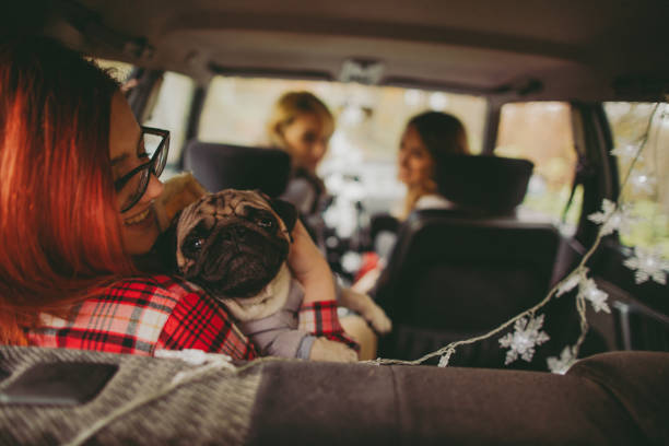 istock Girlfriends and their puppy on a road trip 671579178