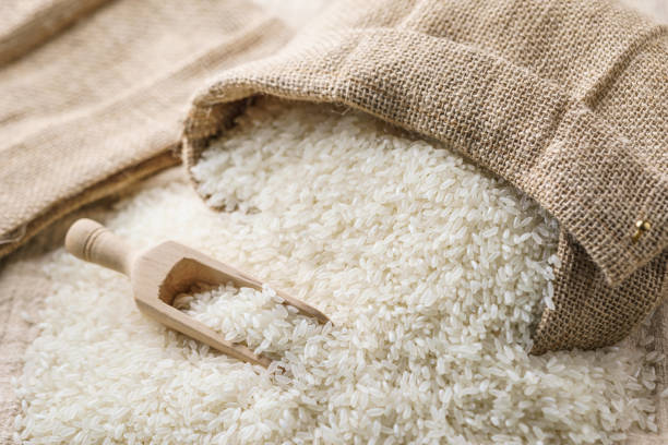 rice - arroz imagens e fotografias de stock