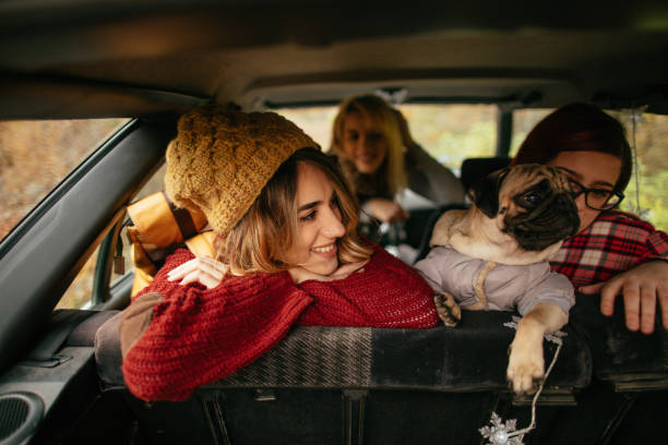 istock Girlfriends and their puppy on a road trip 671582908