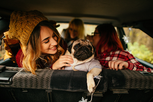 Young smiling girlfriends and their puppy in the car, on a road trip