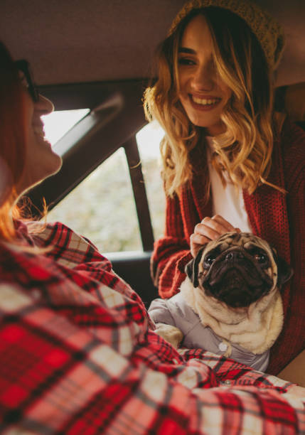 istock In our car on a road trip 671583290