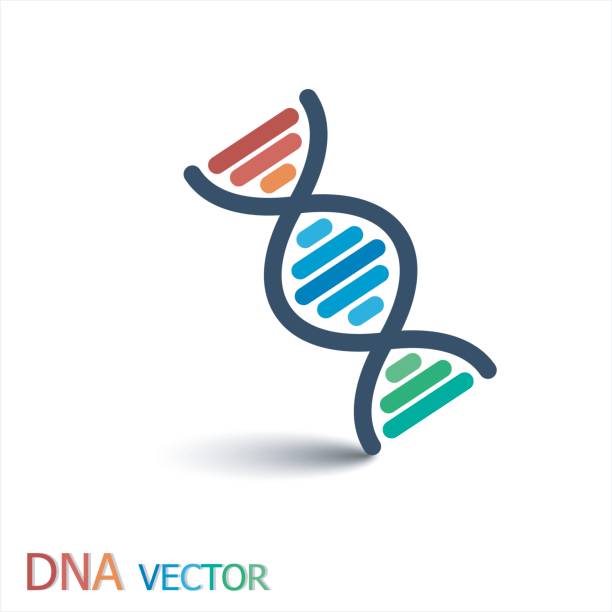 dna (desoxyribonukleinsäure) symbol (doppelstrang dna) - dna chromosome genetic research genetic mutation stock-grafiken, -clipart, -cartoons und -symbole