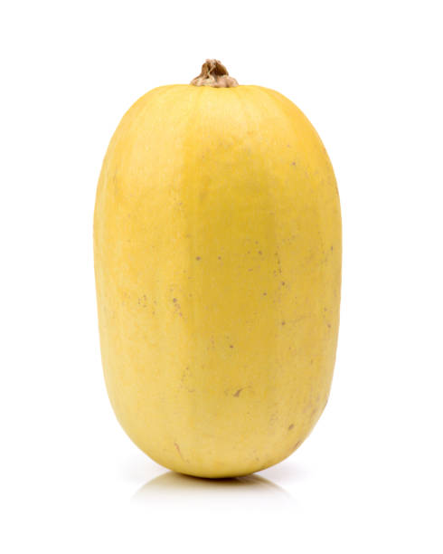 istock organic spaghetti squash Cucurbita pepo vegetable on white background 671601230