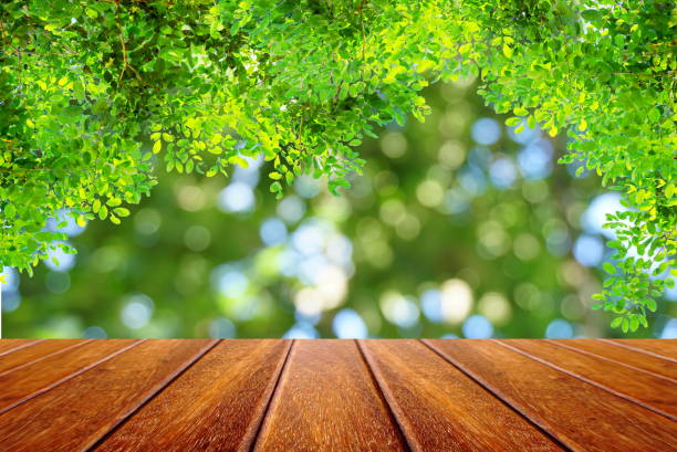 istock perspective wood table and nature green leaves forest background 671601944