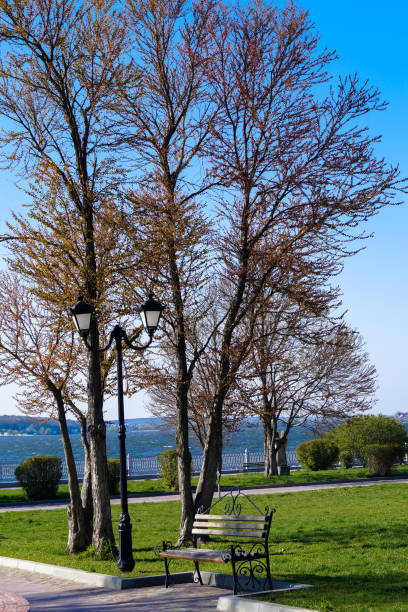 istock landscape in the city Park bench under a lamp 671608144