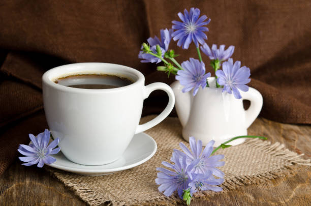 Cup of tea with chicory on wooden background stock photo