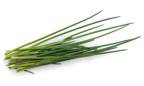 istock Chives, Allium; schoenoprasum 671629442