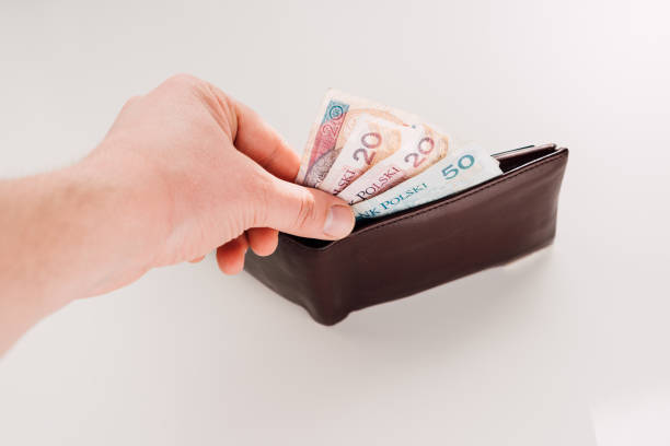 istock Wallet with Polish money 671631256