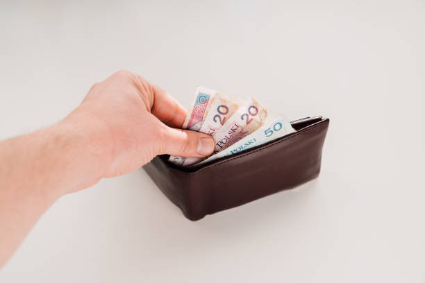 istock Wallet with Polish money 671631456