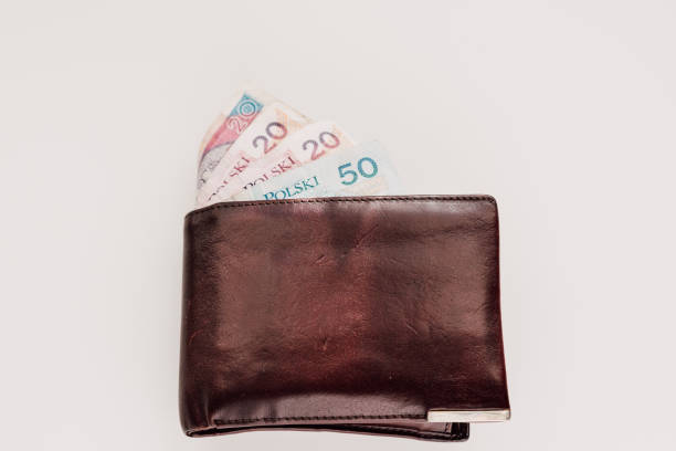 istock Wallet with Polish money 671631512