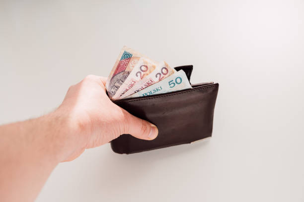 istock Wallet with Polish money 671631664