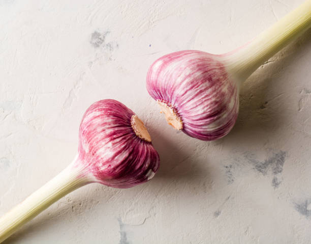 istock Garlic purple stalk on a white stone background. 671634826