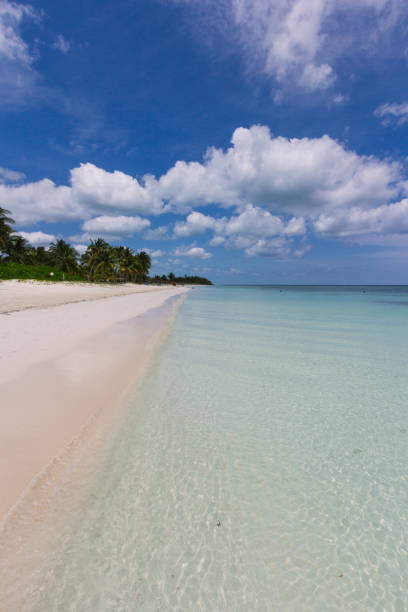 istock A white sand beach and blue ocean in Cayo Levisa, Cuba. 671640120