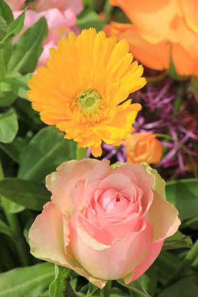 istock Colorful wedding flowers 671641506